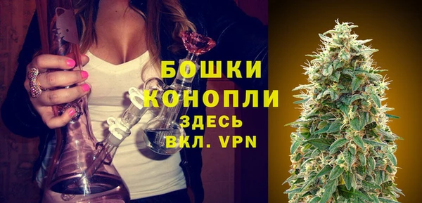 PSILOCYBIN Новодвинск