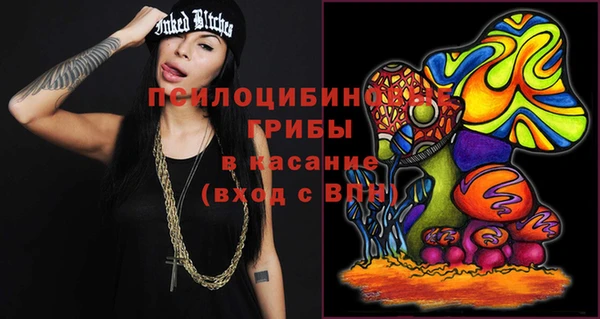 apvp Новозыбков