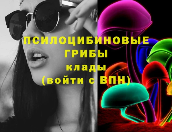 apvp Новозыбков