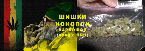 PSILOCYBIN Новодвинск