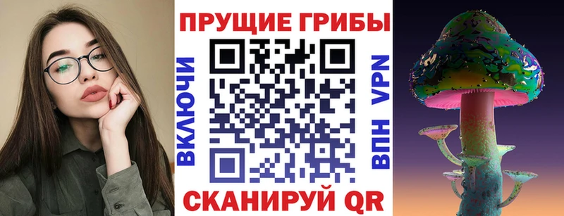 Псилоцибиновые грибы Psilocybe  дарнет шоп  Ижевск 
