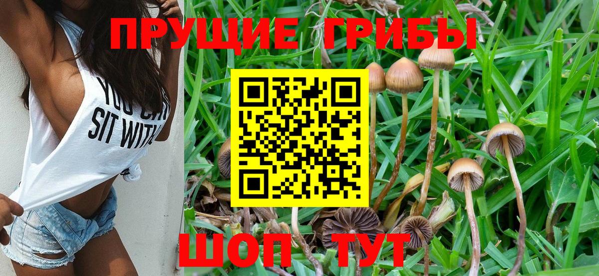 Галлюциногенные грибы мицелий  Ижевск 