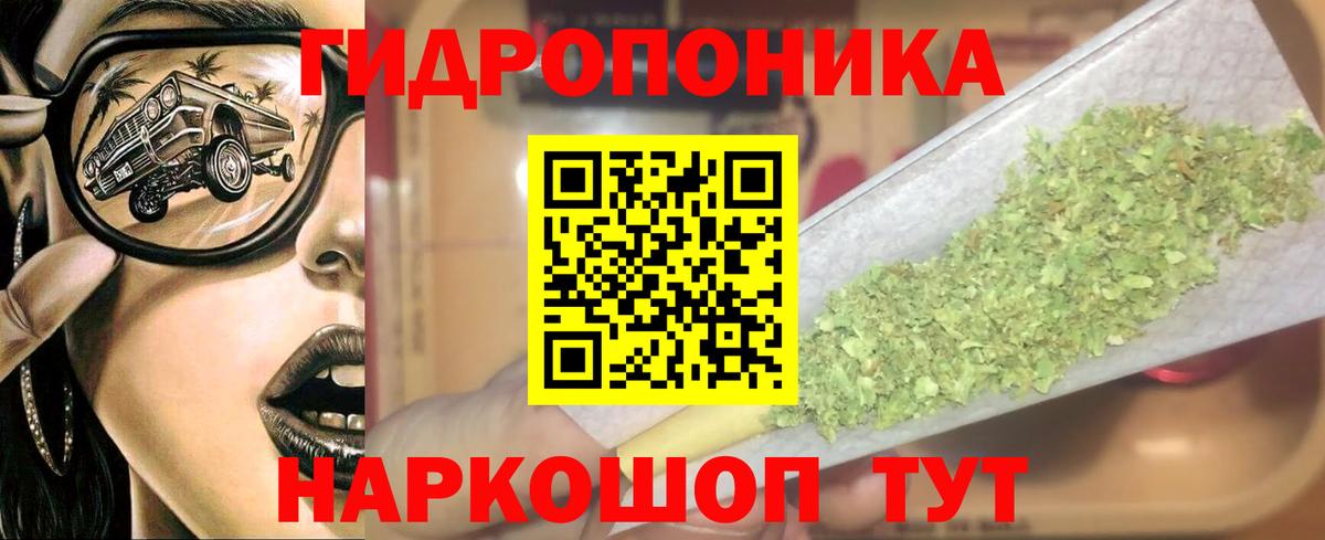 Конопля сатива  Бошки Шишки Bruce Banner  Ижевск  Каннабис OG Kush 
